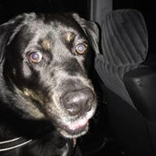 Jenene Carling's photo