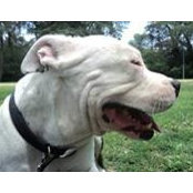 Patricia Folgar's photo