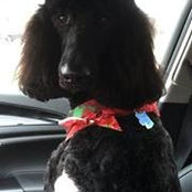 Dena Porter's photo