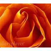 Terrie Coughlin's photo