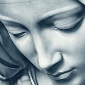 Michelle Feldman's photo