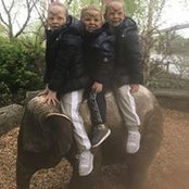 Adele Rothwell's photo