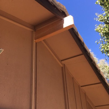 Exposed beam & Header beam Dry Rot Repair