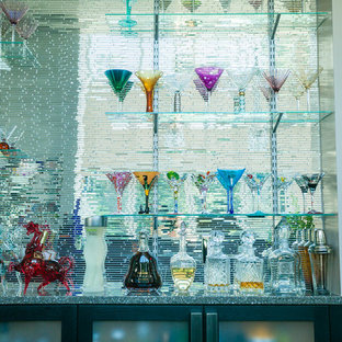 Photo of a medium sized modern home bar in Orlando.