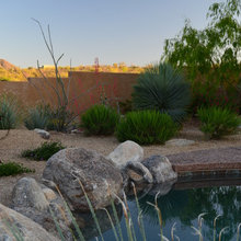 pool lanscape