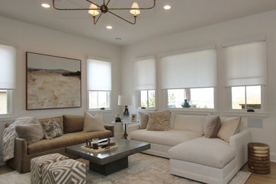Transitional living room photo in Denver