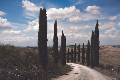 Val d'Orcia - Tuscany #2