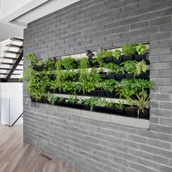 Garneau - Plants