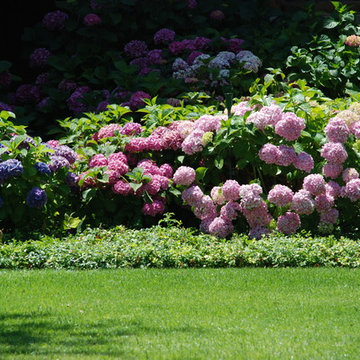JARDIN EN LA MORALEJA