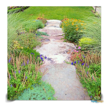 Lush Landscapes