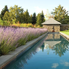 LAP pool