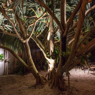South Florida Sandy Hammock and Grass Yard in Delray Beach