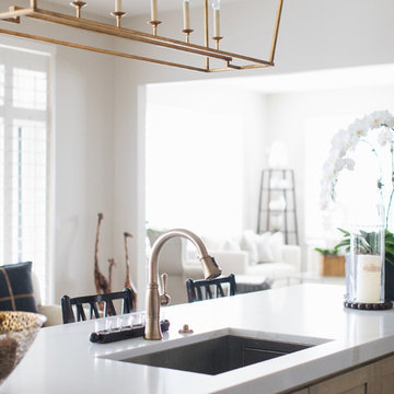 Transitional Suburban Chicago Kitchen