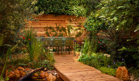 Garden Tour: A Patchy Plot Gets a Wildlife-rich Redesign