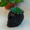 4.5X3.5 Ceramic Sugar Skull Planter, Matte Black