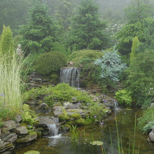 Front Yard/Pond