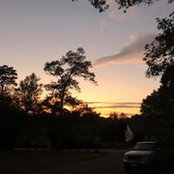 Jesse Mitchell's photo