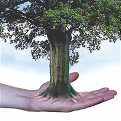 TREEWORXS - Experten für Baum & Boden