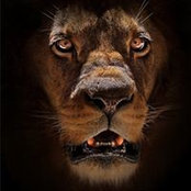Karrie Shaw's photo