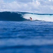Eneko Nicholls's photo