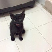 Peggy Toh's photo