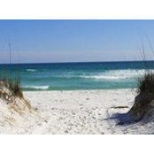 Sheri Kincaid's photo