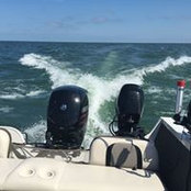 Ann Holland's photo