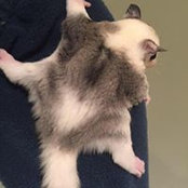 Amy Waxman's photo
