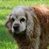 Melissa Massengale's photo