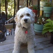 Maureen Nowack's photo