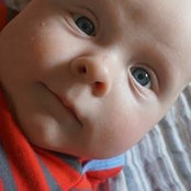 Nancy Chamberland's photo