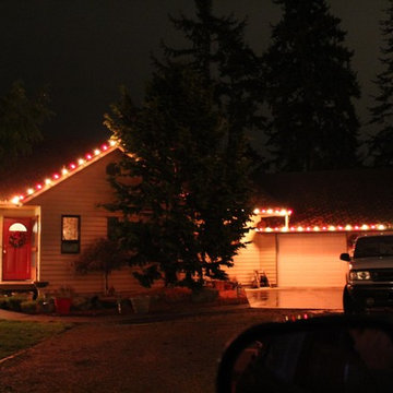 Professional Christmas Light Installation