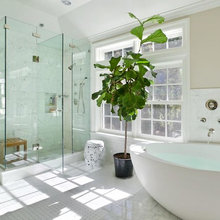 Bailey's bathroom