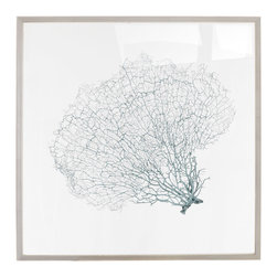 Karen Robertson Collection - Karen Robertson Collection "Blue Haze" Sea Fan Wall Decor - Artwork