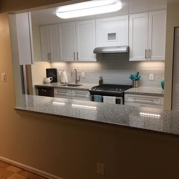 Condo Renovation