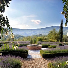 Enchanted: Jardin