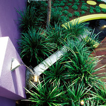 water features