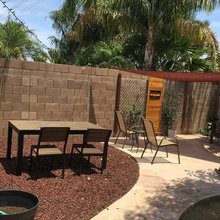 bettys backyard