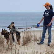 Jill Blasucci's photo