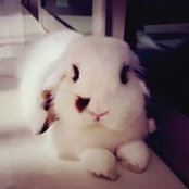 Fiona Lim's photo