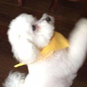 Bridgette Pendleton's photo