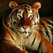 عبدالعزيز المالكي's photo