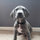 liv_smith60