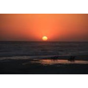Duane N Teresa Colby's photo