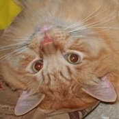 Dee Frey's photo