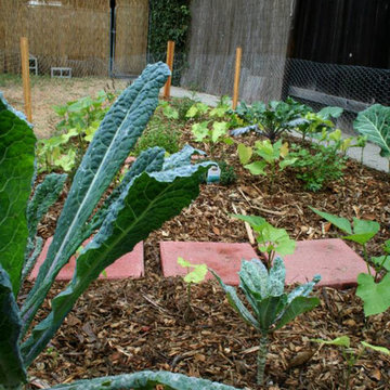 Edible Landscapes