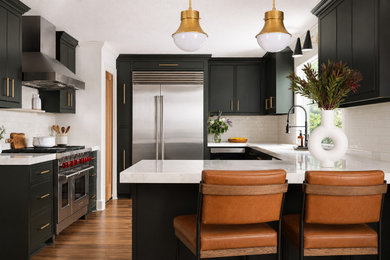 Kitchen - transitional kitchen idea in Houston