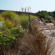 Holiday garden