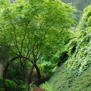 Corten Zen