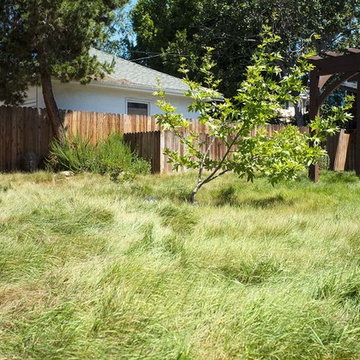2018 Native Plant Garden Tour